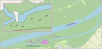 Assessment of Microbial Community Dynamics in River Bank Filtrate Using High-Throughput Sequencing and Flow Cytometry